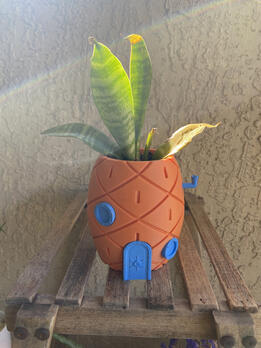 3D Printed Planters + Plants