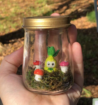 Pokemon terrariums